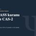 Kuramdan Yaşama bölümü kapak görseli: PASS kuramı ve CAS-2
